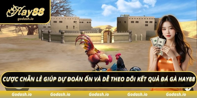 Cược chẵn lẻ giúp dự đoán ổn và dễ theo dõi kết quả đá gà Hay88