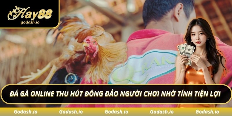 Đá gà online thu hút đông đảo người chơi nhờ tính tiện lợi